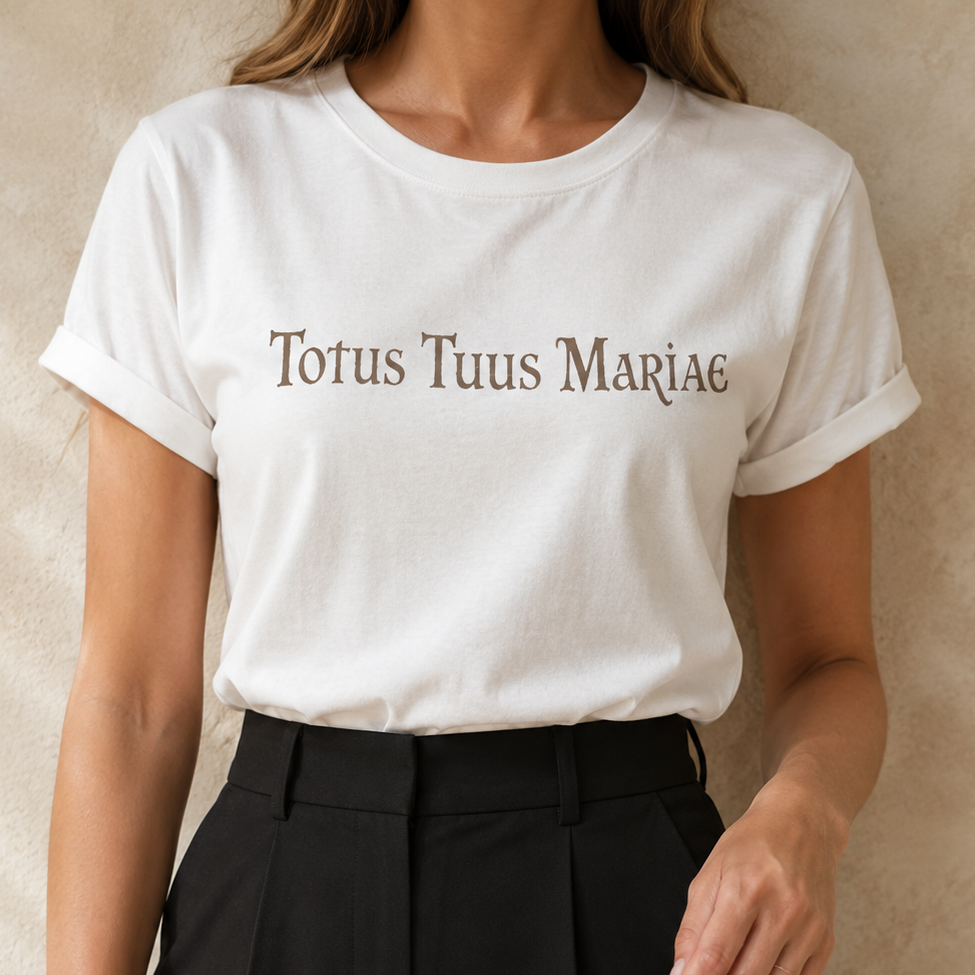 Camiseta Feminina Ave Maria Imaculada - REF -1030
